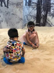 -恐龙探索乐园(磁器口店)