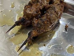 -民族烤羊·烤羊肉串·烤羊排(南城店)