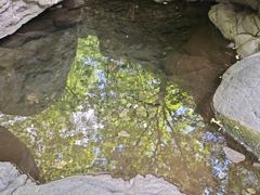 -云岫谷游猎自然风景区