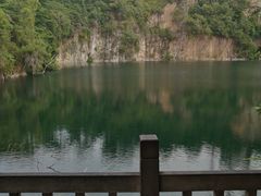 -武吉知马自然保护区