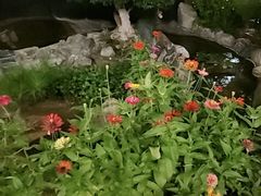 -蘇河湾·新鲁菜·泰山宴(泰山店)