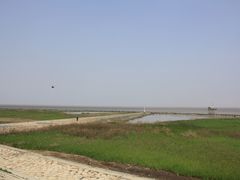 IMG_1055-南汇嘴观海公园