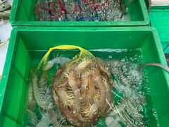 -霞海鸭仔饭店(海滨大道北店)