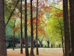 -苏州河梦清园环保主题公园