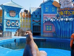 -华夏文旅海洋公园