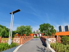 -皇粮浜湿地公园