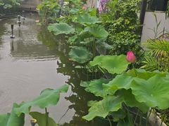 -观宴·品质赣菜(高新大道店)