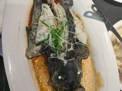 -鑫悦楼煎蟹·16年海鲜大排档