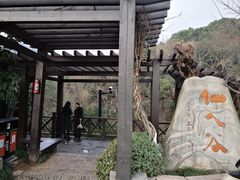 -杭州半山国家森林公园