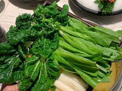 -汤城·料青山