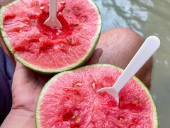 -南园路·韦四烧烤(南园路店)