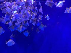 -沈阳海洋探索中心