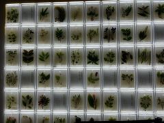 -广东中医药博物馆