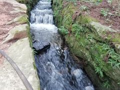 -庐山风景区花径公园