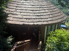 -三亚亚龙湾人间天堂鸟巢度假村