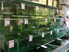 水产区-祈胜邨•顺德鱼生•顺德菜(容桂店)