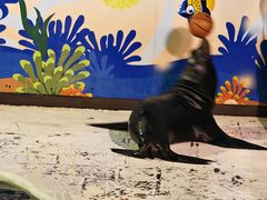 -太平洋海底世界