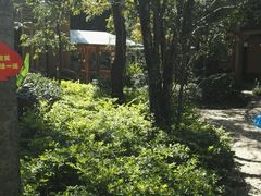 -山大王菌莊