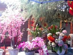-海韵人家.海景花园经典云南菜(双廊店)
