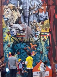 -卡通尼·Safari非洲探索乐园·生日会(金桥国际商业广场店)