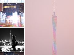 -百万葵园