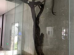 -苏州园林博物馆