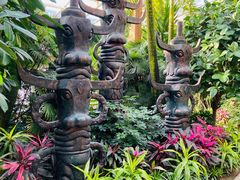 -南宫五洲植物乐园