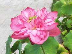 -杭州花家山庄