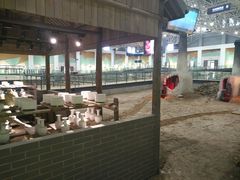 -宝丰清凉寺汝官窑遗址展览馆