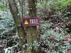 -宁波五龙潭景区
