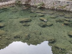 -宁波五龙潭景区