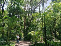 -广西壮族自治区药用植物园