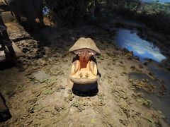 -大连自然博物馆