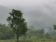 -塔川景区