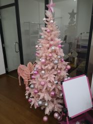 -Lab Season惜辰颜究社