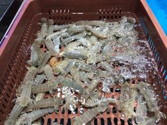 -盒马鲜生(联投广场店)