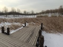 -马家湾湿地公园
