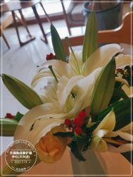 -月满阁月子中心(莲湖区店)