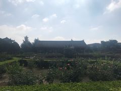 -茂陵博物馆