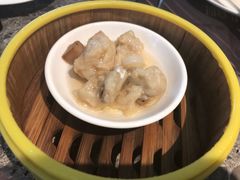 -佛山顺德香云纱园林酒店(清晖园店)