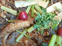 -老板恋上鱼(恒隆广场店)