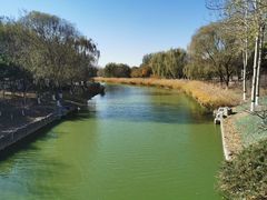 -大兴滨河森林公园