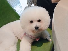 -铜锣湾·有麝自然香(长嘉汇购物公园店)