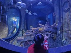 -成都浩海立方海洋公园