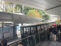 -山顶缆车