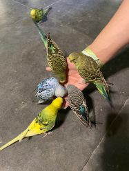 -酷嗒动物文化乐园(cutezoo西溪乐天城店)