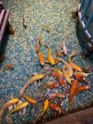 -酷嗒动物文化乐园(cutezoo西溪乐天城店)