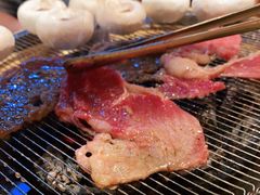 -闻老头·菊花炭烤肉(D11店)