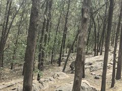 -云龙山