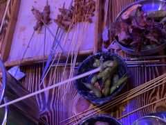 -夜火烤摊·东北烧烤酒场·老杨小黄鱼